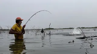 Hook fishing in river | Single hook fishing| manjeera river fishing catch rohu fishes