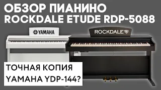 Обзор цифрового пианино Rockdale RDP-5088