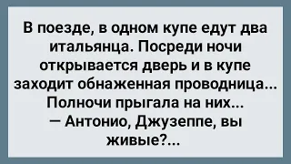 Ненасытная Проводница Соблазнила Итальянцев! Сборник Свежих Анекдотов! Юмор!