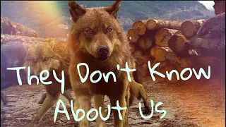 Twilight Wolves-They Don't Know About Us