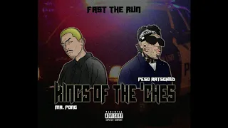 MR. PONG - FAST THE RUN FEAT.  PESO RATSCHILD (AUDIO)