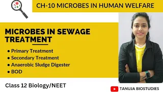 Ch-10 Microbes in human welfare | Microbes in Sewage Treatment | BOD | Class 12 Biology/NEET/AIIMS