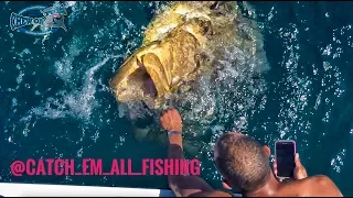 Catching a Goliath Grouper Is Not Impossible But Very Tough with Catch Em All Fishing