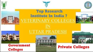 Uttar Pradesh Veterinary Colleges|Private Colleges|Government Colleges| BVSc & AH | VCI | Neet