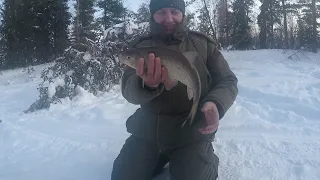 Трудовая рыбалка на р. Етыпур но все же удалось найти сорогу.