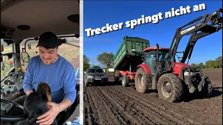 Geschicklichkeitsfahren mit dem Puma CVX | Was machen die 🥔 | Farmvlog #114