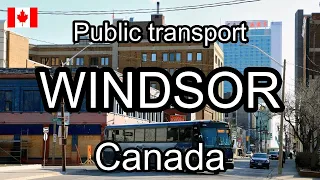 Windsor, Canada. Public transport