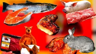 Виды мяса, какие виды мяса вредны, а какие нет