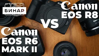 Сравнение Canon EOS R6 Mark 2 vs Canon EOS R8. Какую камеру Canon выбрать?