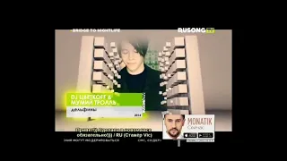 DJ Цветкоff & Мумий Тролль - Дельфины (Bridge To Nightlife) [RUSONG TV]