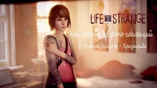 Life Is Strange - Как собрать все фото коллекций В Первом Эпизоде - Хризалида