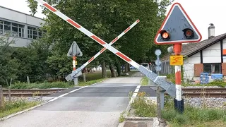 Bahnübergang Muntelier (CH) // Swiss Railroad Crossing