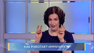 Как работает иммунитет? Школа здоровья. GuberniaTV