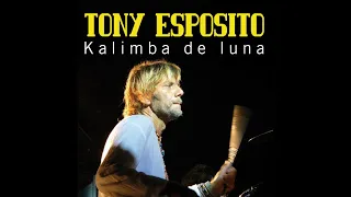 Tony Esposito  -  Kalimba De Luna (1984) #tonyesposito #kalimbadeluna