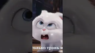 тайная жизнь домашних животных🤪#мультики