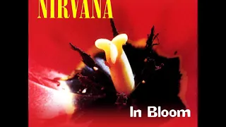 Nirvana: "In Bloom" [Rough Mix]