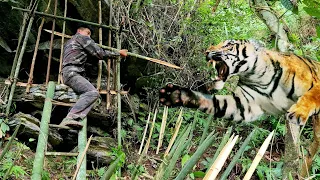 FULL VIDEO: survival alone, survival, skills, detecting tigers attacking people, boar trap skills