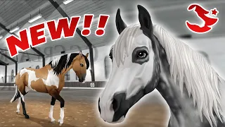 THE NEW AMERICAN PAINT HORSE SPOILERS!! 😱 | Star Stable Online