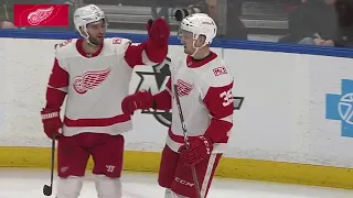 Detroit Red Wings vs Buffalo Sabres - March 29, 2018 | Game Highlights | NHL 2017/18