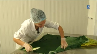 Culture de spiruline en Haute-Marne