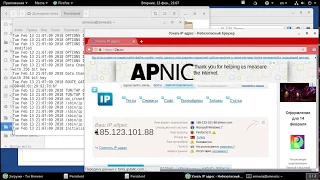 Как настроить анонимный доступ к удаленному рабочему столу VNC Linux через VPN в Tails OS