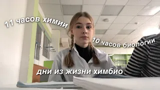 несколько дней из жизни ХИМБИО