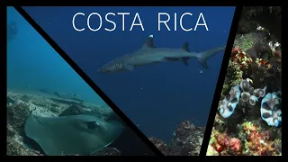 Costa Rica  - Oceans Diving Destinations e003