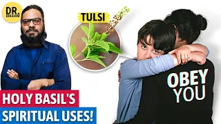 Tulsi Ke Rohani Istamal (Bacche Baat Nahe Mante?) Tulsi for Disobedient Child | Dr. Ibrahim