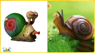 Real life snail 🐌 The best cartoons for kids ✨ Best larva cartoons 2022 🐌 Larva Cartoon Asia