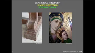 СТРУКТУРА ТА ВЛАСТИВОСТІ ДЕРЕВИНИ: Ураження Деревини - Пліснява та Жуки