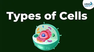 Types of Cells | Don't Memorise