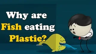 Why are Fish eating Plastic? + more videos | #aumsum #kids #science #education #children