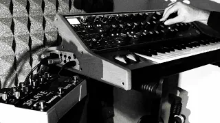 Moog Subsequent 37 and Eventide Space