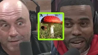 Joe Rogan: Mushrooms Used Us to Manifest Reality