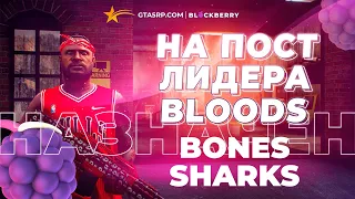 НЕ ИМЕЮ СОПРОТИВЛЕНИЯ НА СЕРВЕРЕ ?? | BLACKBERRY | NO MISS!