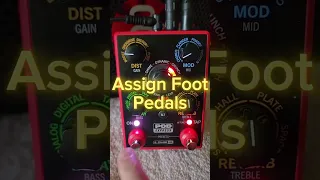 Line 6 Pod Express How to Assign Footswitch to control distortion