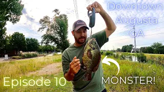 FISHING THE AUGUSTA CANAL and catching a MONSTER!