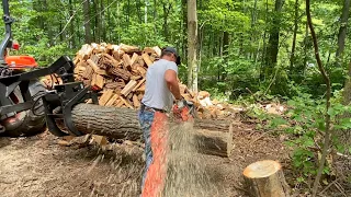 Best Tools to Save Your Back Cutting Firewood #68