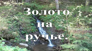 Золотой песок на лесном ручье.