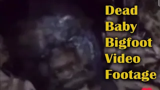Dead Baby Bigfoot Video. Is this a Sasquatch