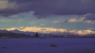 Sierra Nevada Weather March 1, 2024.  Blizzard.  Mammoth Lakes.  #snow  #weather Hwy 395. POWDER