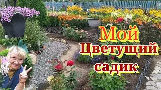 #Июльский#обзор#дачи.