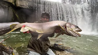 I DID NOT EXPECT TO CATCH THIS UNDER THE FALLS (Fish of a Lifetime)