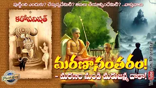 Kathopanishad Death Indic | మరణం నుండి మరుజన్మ దాకా | MPlanetLeaf