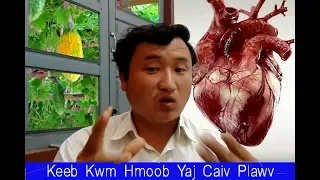 Hmoob Yaj Tua Ruam Noj Plawv ( yaj caiv plawv) xyoo 2019