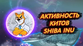 SHIBA INU: БОЛЬШАЯ АКТИВНОСТЬ КИТОВ!/ НОВОЕ СКОПЛЕНИЕ ИНВЕСТОРОВ!