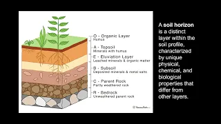 Soil Profiles and Horizons