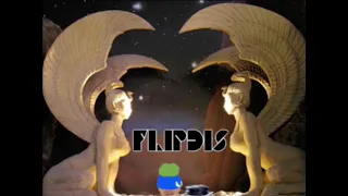 Flip - Dis 6