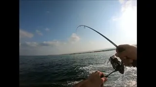 Light/Ultra light Shore Jigging, Palamida & Blue runner(The Mediterranean sea) 8/31/2018