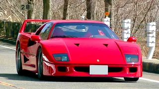 【F40,STOなどレア車も多数‼️】芦有を走るスーパーカーのサウンド マフラー音 加速